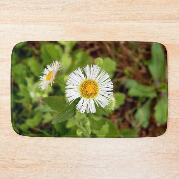 Item preview, Philadelphia Fleabane designed and sold by gistinker.
