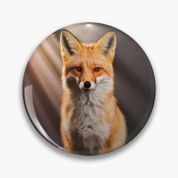 Item preview, Fox Portrait. realistic photo designed and sold by FoxVibes.