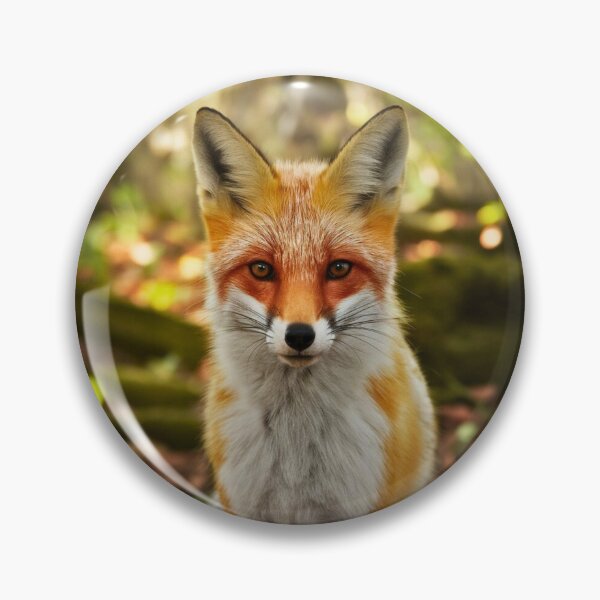 Item preview, Fox Portrait. realistic photo designed and sold by FoxVibes.