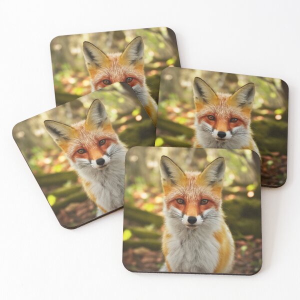 Item preview, Fox Portrait. realistic photo designed and sold by FoxVibes.
