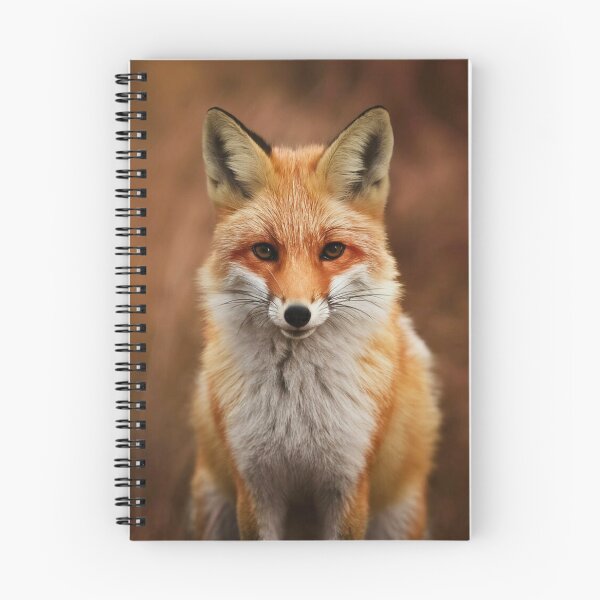 Item preview, Fox Portrait. realistic photo designed and sold by FoxVibes.
