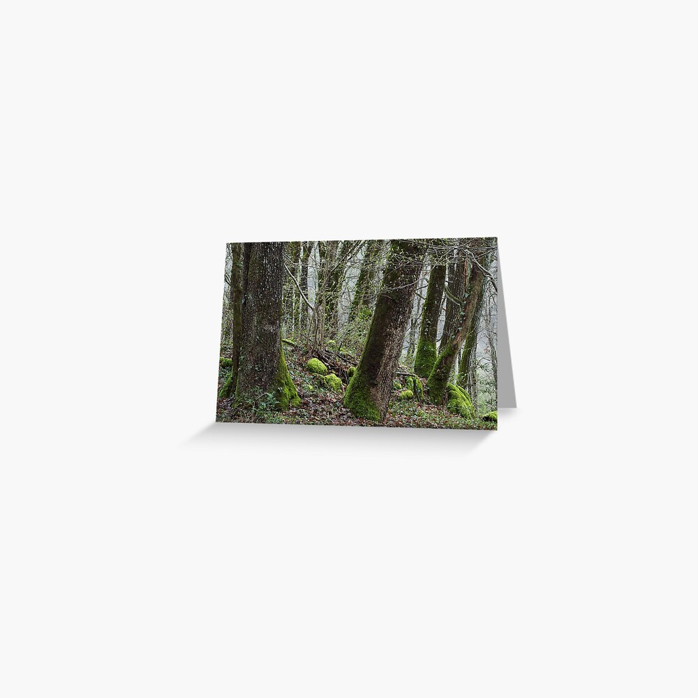 Item preview, Greeting Card designed and sold by patmo.