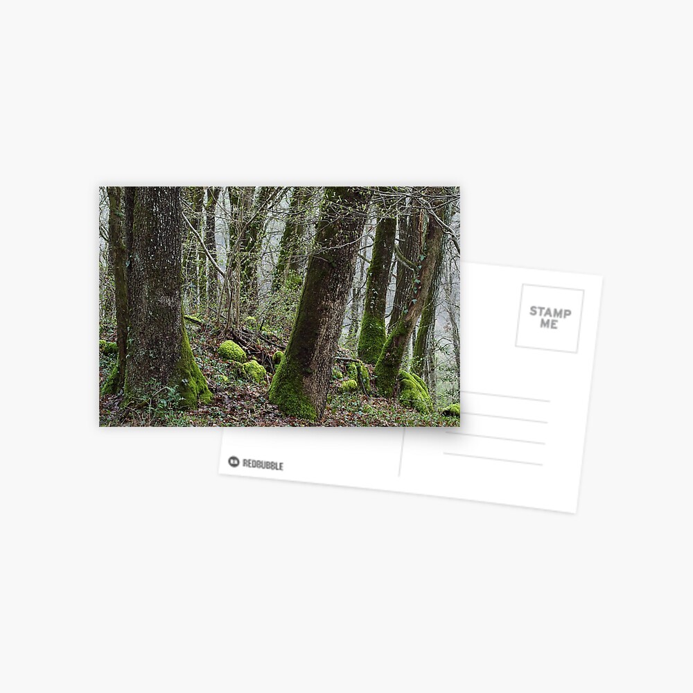 Item preview, Postcard designed and sold by patmo.