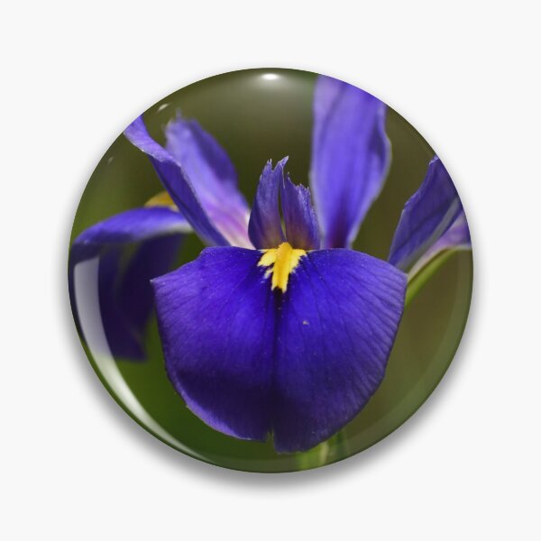Item preview, The violet hours designed and sold by FoxGlove5.