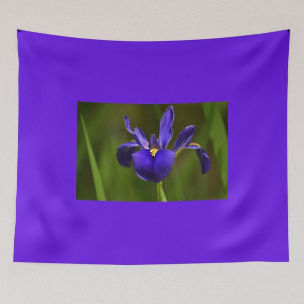 Item preview, The violet hours designed and sold by FoxGlove5.