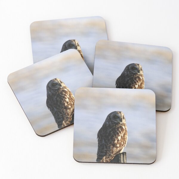 Item preview, Short Eared Owl designed and sold by Alyce Taylor.