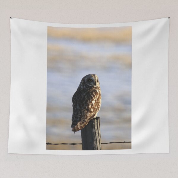 Item preview, Short Eared Owl designed and sold by Alyce Taylor.