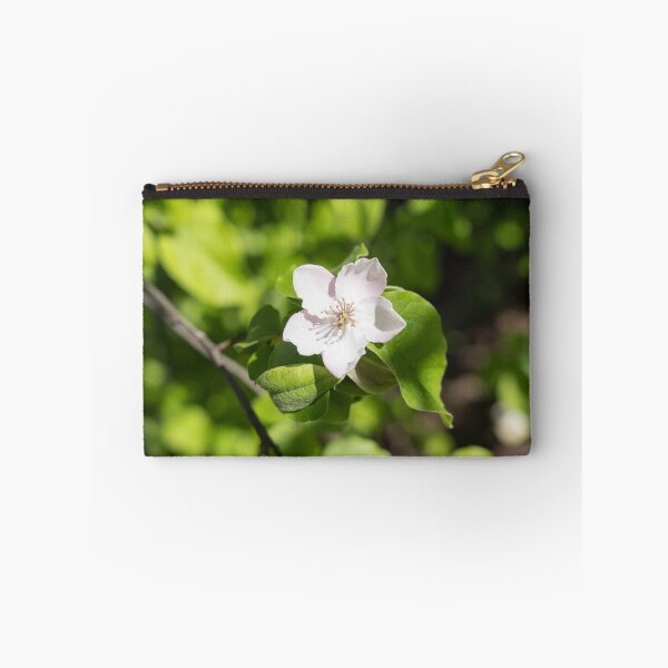 Item preview, A Single Quince Tree Bloom Amidst Velvety Green Leaves designed and sold by Georgia Mizuleva.
