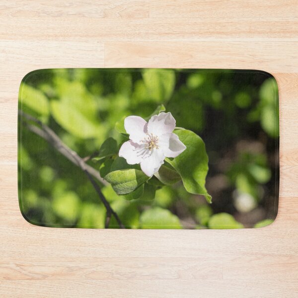 Item preview, A Single Quince Tree Bloom Amidst Velvety Green Leaves designed and sold by Georgia Mizuleva.