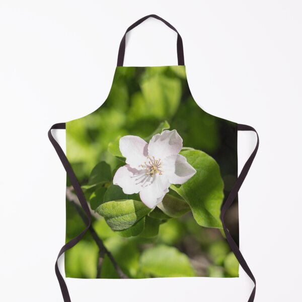 Item preview, A Single Quince Tree Bloom Amidst Velvety Green Leaves designed and sold by Georgia Mizuleva.