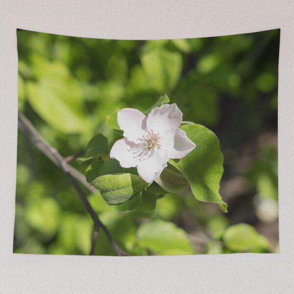 Item preview, A Single Quince Tree Bloom Amidst Velvety Green Leaves designed and sold by Georgia Mizuleva.