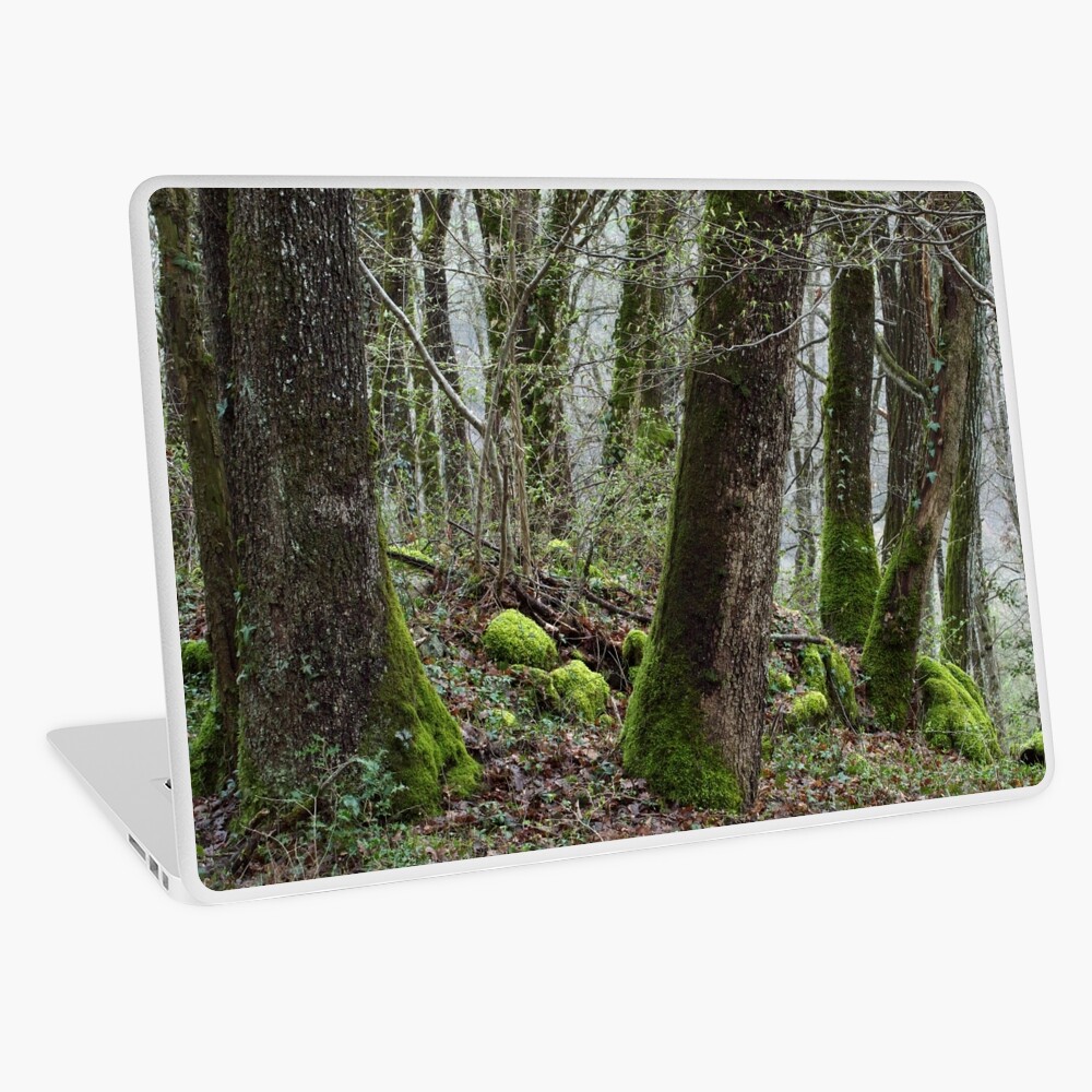 Item preview, Laptop Skin designed and sold by patmo.