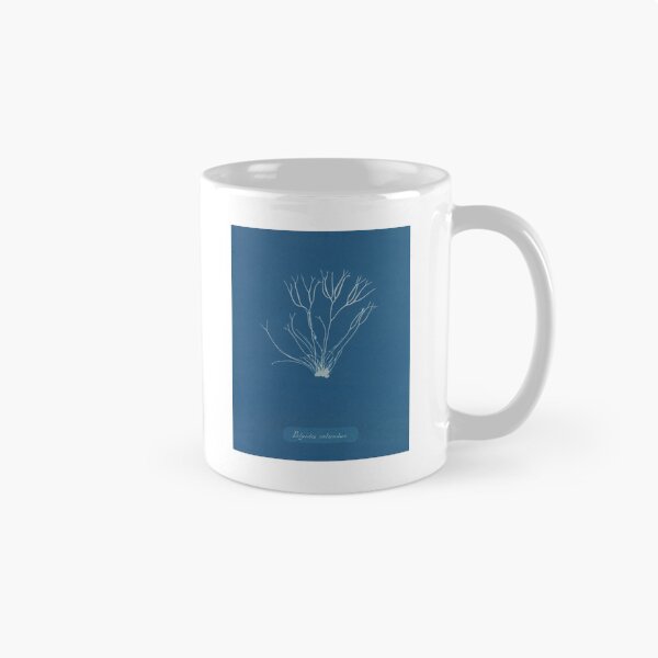 Item preview, Vintage - Cyanotypes of British Algae by Anna Atkins (1843) designed and sold by LunaMothDesigns.