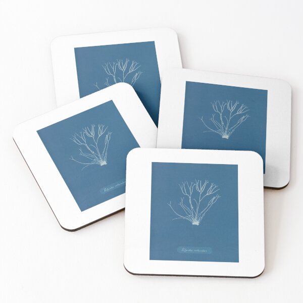 Item preview, Vintage - Cyanotypes of British Algae by Anna Atkins (1843) designed and sold by LunaMothDesigns.