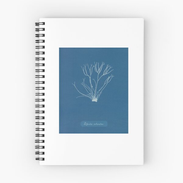 Item preview, Vintage - Cyanotypes of British Algae by Anna Atkins (1843) designed and sold by LunaMothDesigns.