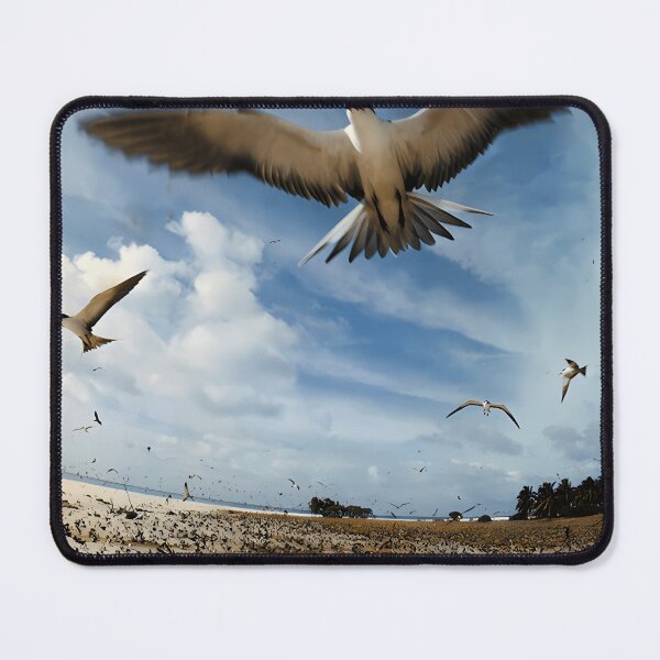 Item preview, Masayoshi Takanaka - Seychelles designed and sold by VictorSalmo.