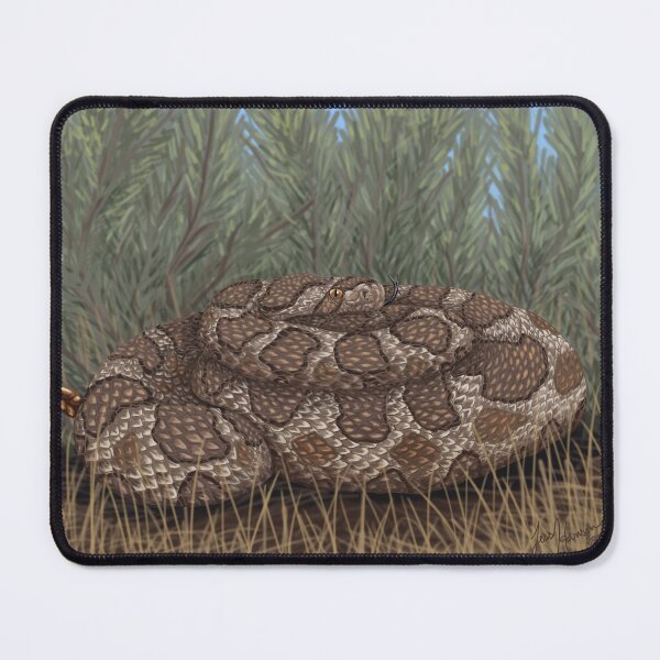 Item preview, Chillin Rattlesnake designed and sold by Imagine My Universe.