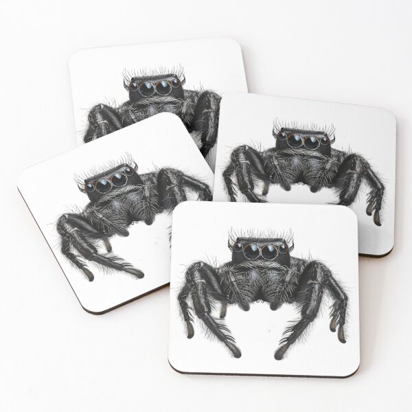 Item preview, Black Spooder | Jumping Spiders  designed and sold by TreasuresByRie.