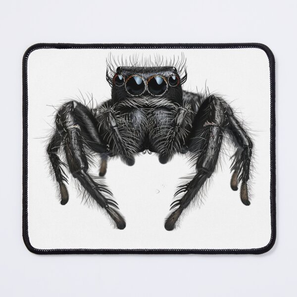Item preview, Black Spooder | Jumping Spiders  designed and sold by TreasuresByRie.