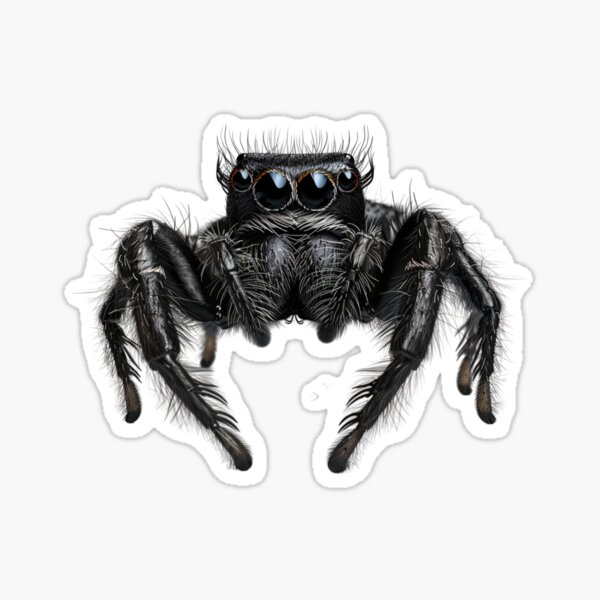 Item preview, Black Spooder | Jumping Spiders  designed and sold by TreasuresByRie.