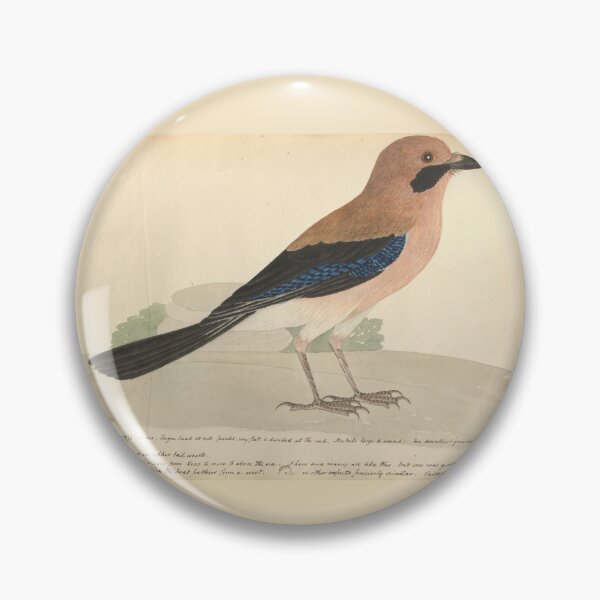 Item preview, Eurasian Jay by Frederick John Shore designed and sold by Amanda1775.