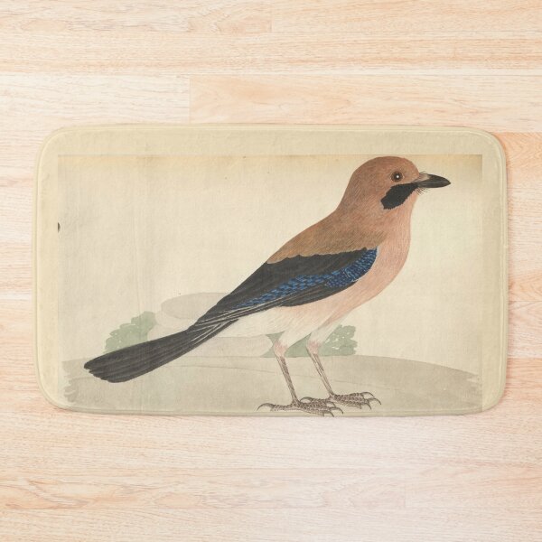 Item preview, Eurasian Jay by Frederick John Shore designed and sold by Amanda1775.