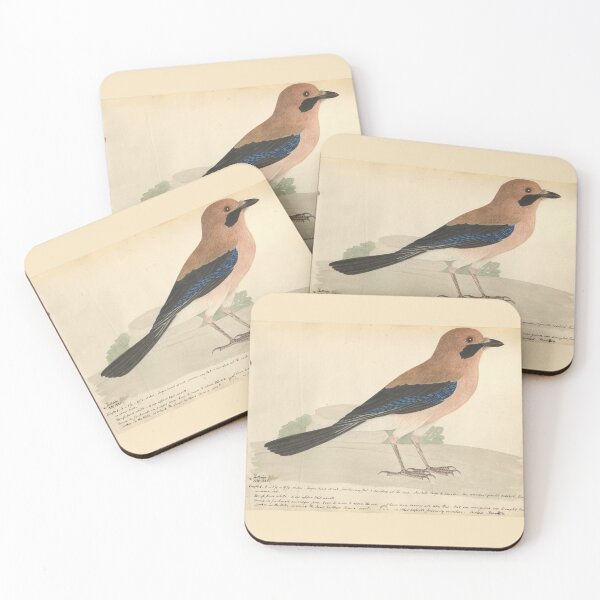Item preview, Eurasian Jay by Frederick John Shore designed and sold by Amanda1775.