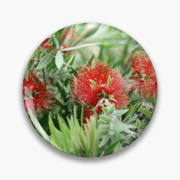 Item preview, Bottlebrush.  designed and sold by Pixxowl.
