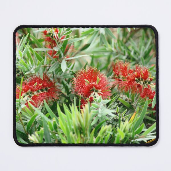Item preview, Bottlebrush.  designed and sold by Pixxowl.