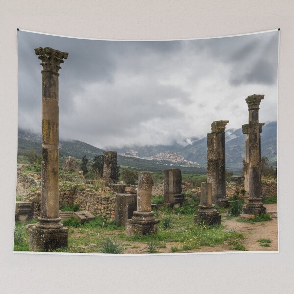 Item preview, Volubilis designed and sold by DiFigianoPhoto.