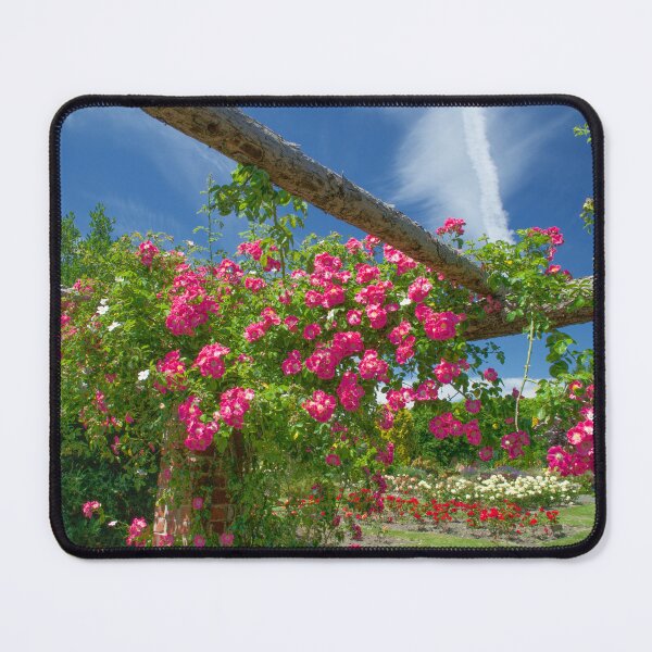 Item preview, Rambling Roses designed and sold by Alisonchambers2.