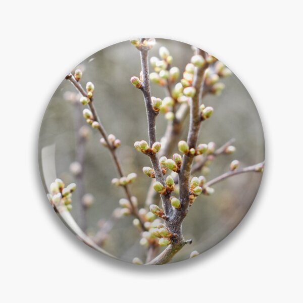 Item preview, Close-up view of tree branches designed and sold by Anastasia Kaneva.