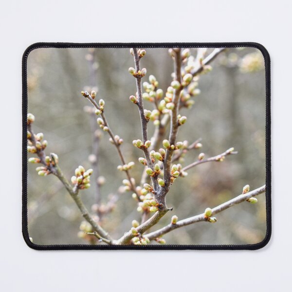 Item preview, Close-up view of tree branches designed and sold by Anastasia Kaneva.