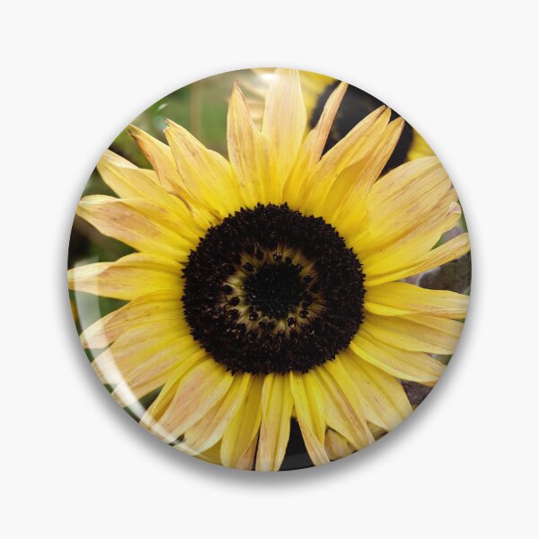 Item preview, Pale sunflower designed and sold by Gumbootgal.