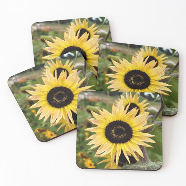 Item preview, Pale sunflower designed and sold by Gumbootgal.