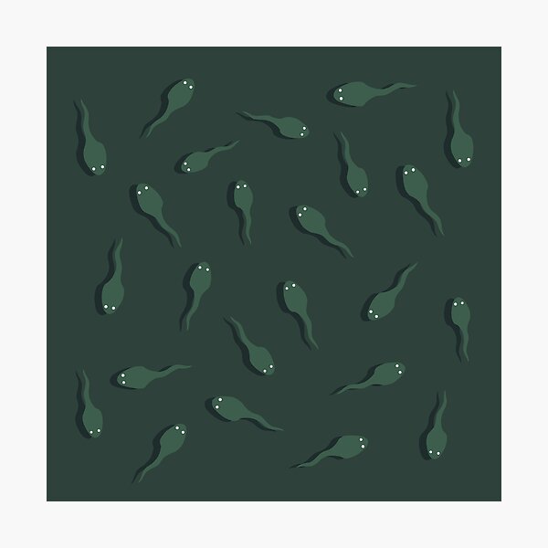 Item preview, Tadpoles shadow designed and sold by Studio Mattie.