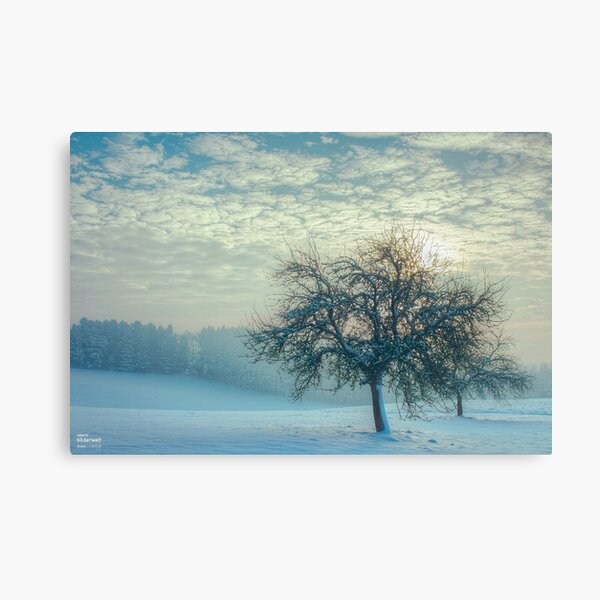 Winterwetter Leinwanddruck