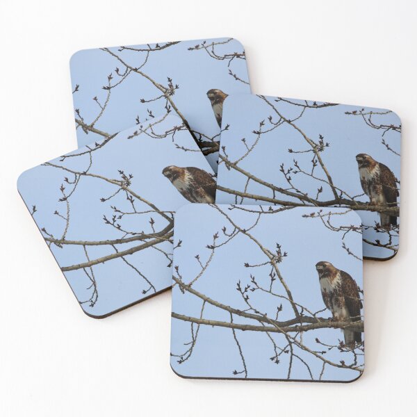 Item preview, Juvenile Borealis Red-Tailed Hawk designed and sold by Alyce Taylor.