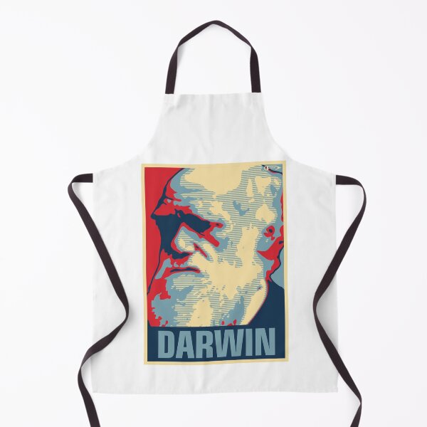 Item preview, Darwin designed and sold by DFA.