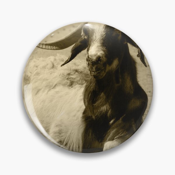 Artikelvorschau, Myotonic Goat Relaxed Benidorm Tint entworfen und verkauft von eddiebarronshop.