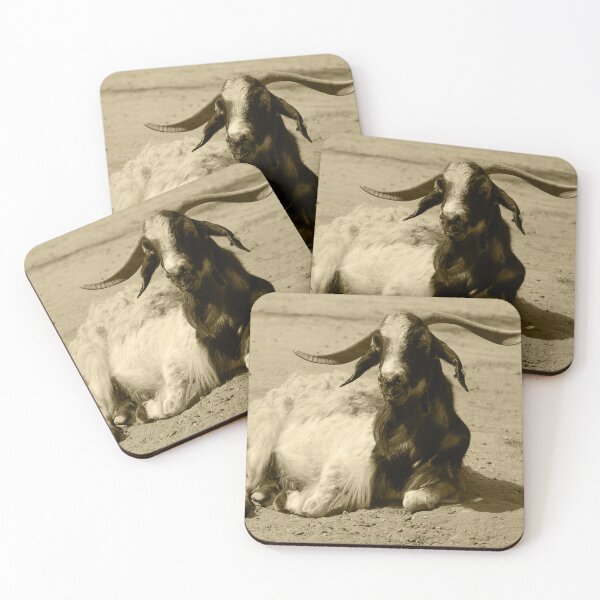 Item preview, Myotonic Goat Relaxed Benidorm Tint designed and sold by eddiebarronshop.