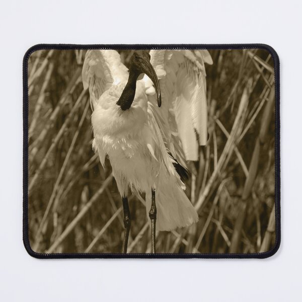 Item preview, Sacred Ibis Wings Tint Vertical designed and sold by eddiebarronshop.
