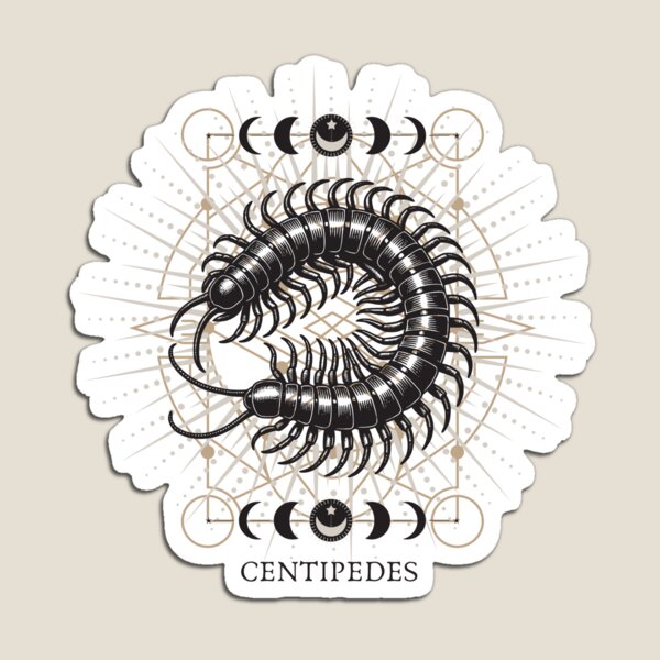 Item preview, Sacred Geometry celestial insect centipede designed and sold by MonochromeEcho.