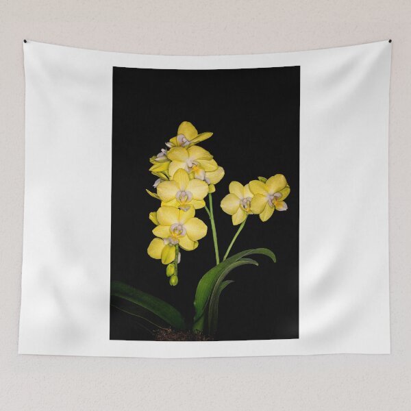 Item preview, Yellow Mini Orchid designed and sold by Reg-K-Atkinson.
