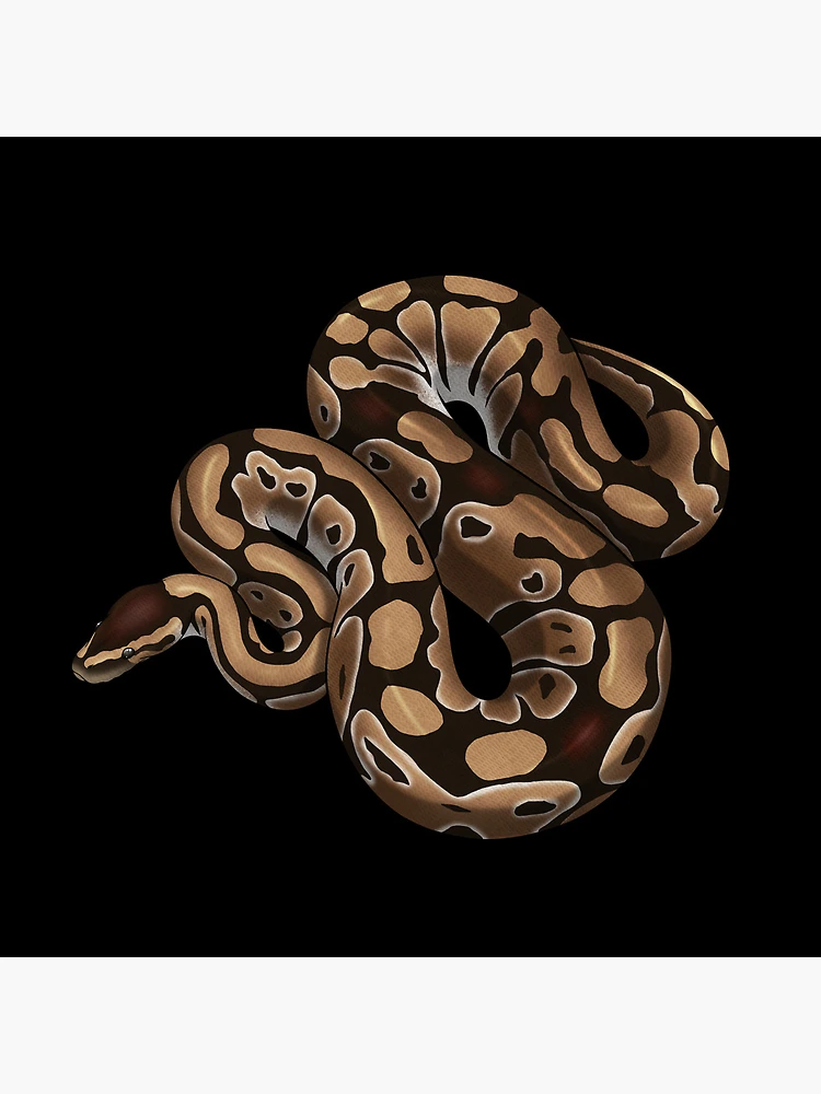 Thumbnail 4 of 4, Clock, Ball Python designed and sold by HauntedHerps.