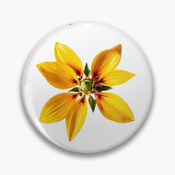 Artikelvorschau, Vibrant orange white green Flower Illustration - Botanical Artwork, Sensations of a vibrant spring day entworfen und verkauft von yeekazar.