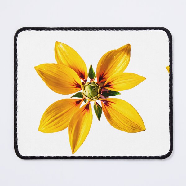 Item preview, Vibrant orange white green Flower Illustration - Botanical Artwork, Sensations of a vibrant spring day designed and sold by yeekazar.