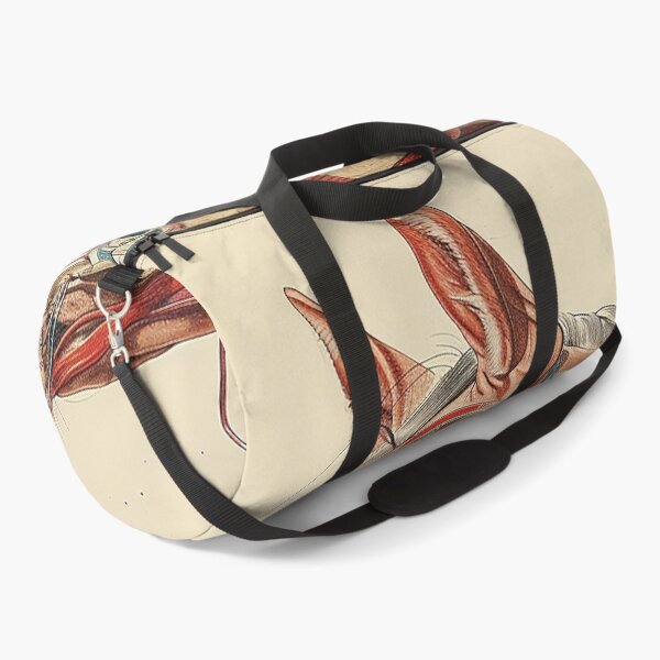 Item preview, Horse Illustration Art designed and sold by nomiraclehere.