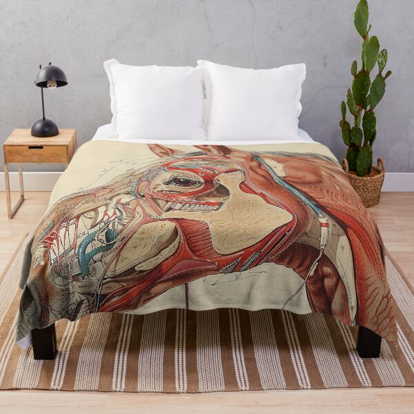 Item preview, Horse Illustration Art designed and sold by nomiraclehere.