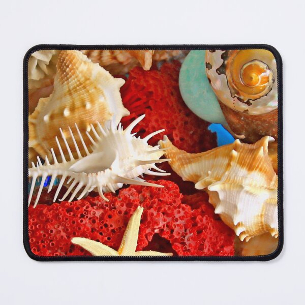 Item preview, SeaShells... designed and sold by Tereza Pilar  Art.